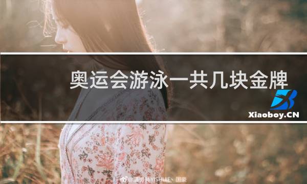 奥运会游泳一共几块金牌