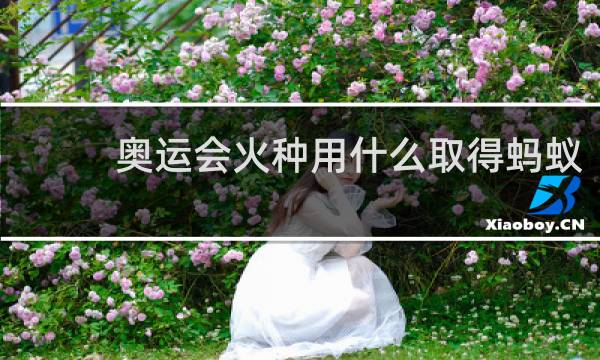 奥运会火种用什么取得蚂蚁