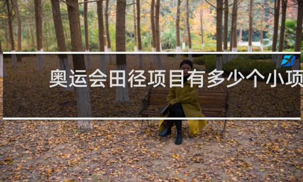 奥运会田径项目有多少个小项