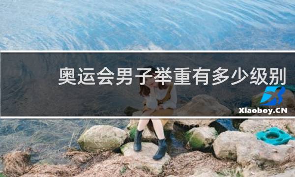 奥运会男子举重有多少级别