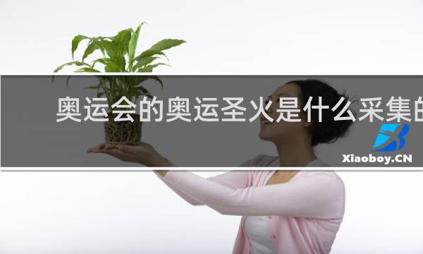 奥运会的奥运圣火是什么采集的
