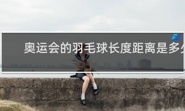奥运会的羽毛球长度距离是多少