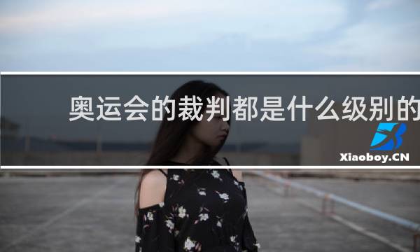 奥运会的裁判都是什么级别的