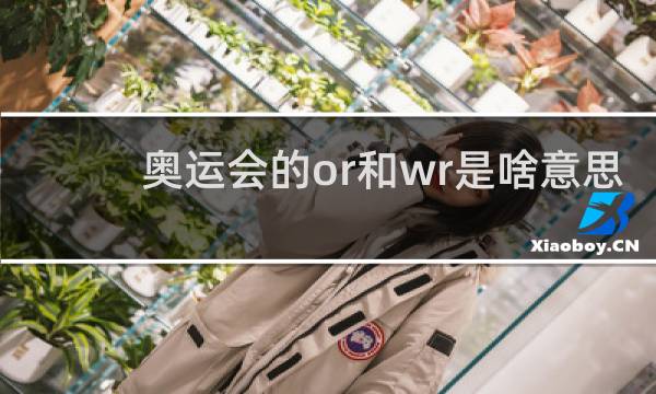 奥运会的or和wr是啥意思