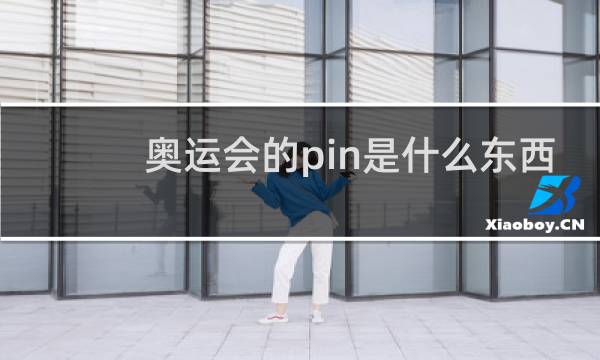 奥运会的pin是什么东西