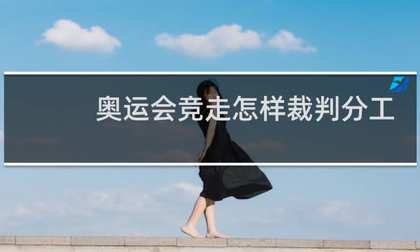 奥运会竞走怎样裁判分工