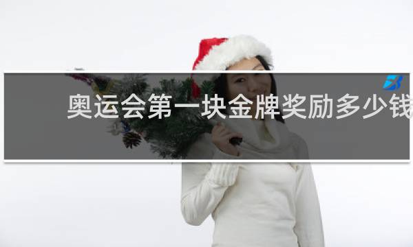 奥运会第一块金牌奖励多少钱