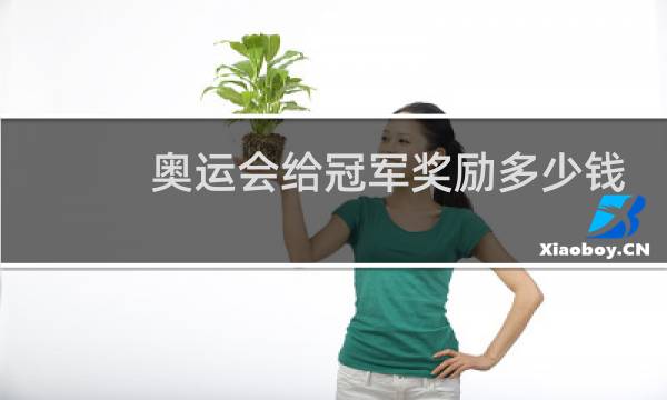 奥运会给冠军奖励多少钱
