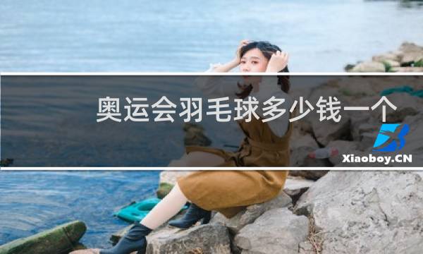 奥运会羽毛球多少钱一个
