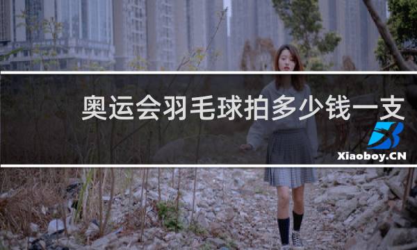 奥运会羽毛球拍多少钱一支