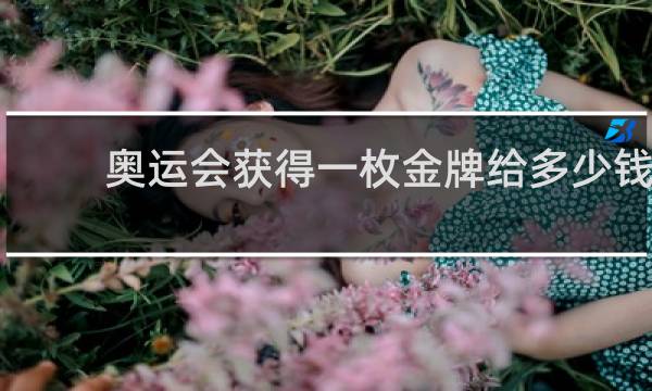 奥运会获得一枚金牌给多少钱