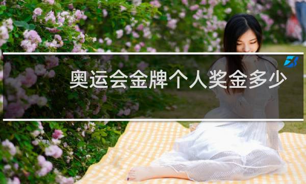 奥运会金牌个人奖金多少
