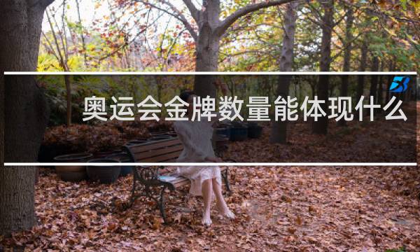 奥运会金牌数量能体现什么
