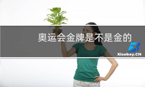 奥运会金牌是不是金的