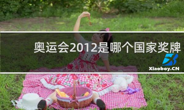 奥运会2012是哪个国家奖牌最多