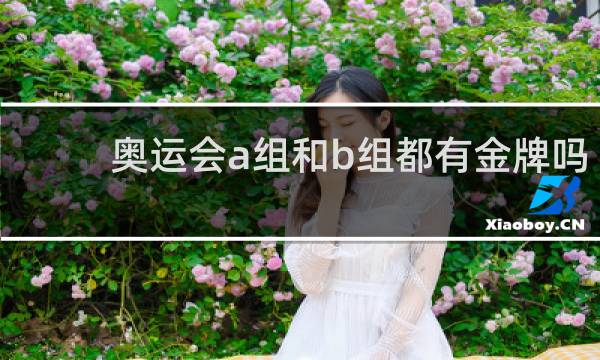 奥运会a组和b组都有金牌吗