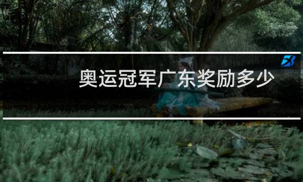 奥运冠军广东奖励多少