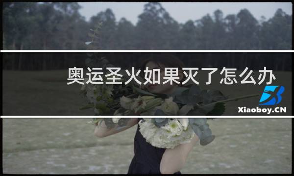 奥运圣火如果灭了怎么办