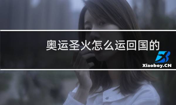 奥运圣火怎么运回国的