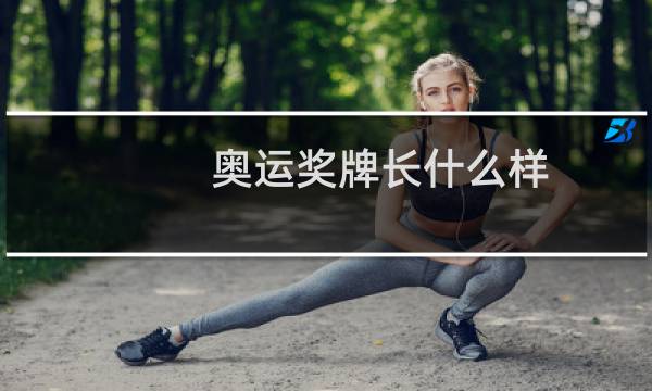 奥运奖牌长什么样