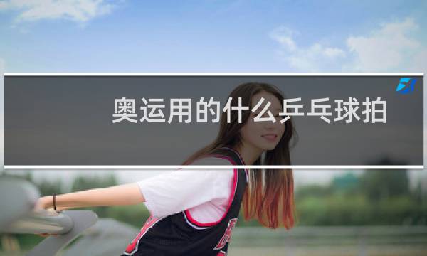 奥运用的什么乒乓球拍