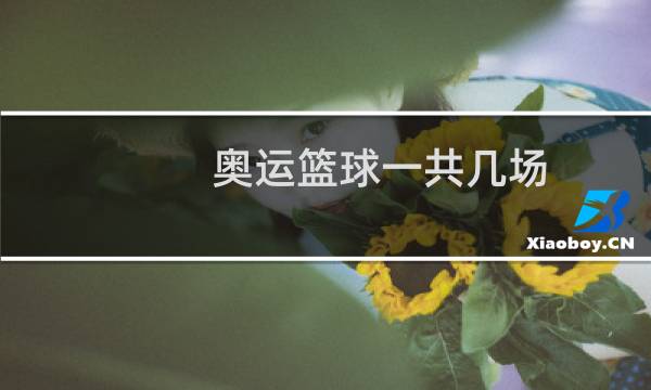 奥运篮球一共几场