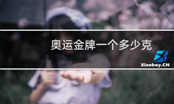 奥运金牌一个多少克