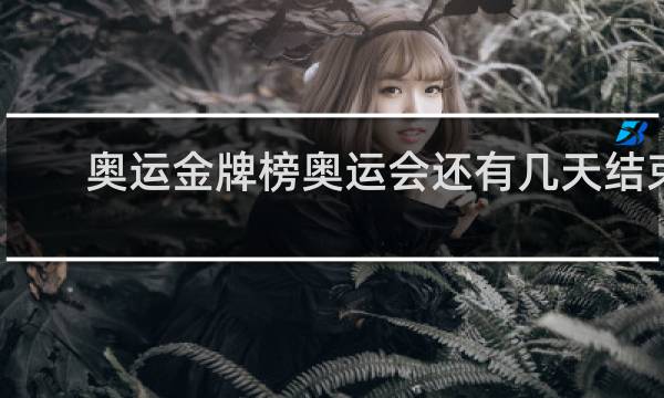 奥运金牌榜奥运会还有几天结束