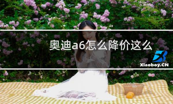 奥迪a6怎么降价这么多(奥迪a6多少钱为什么降价这么多)