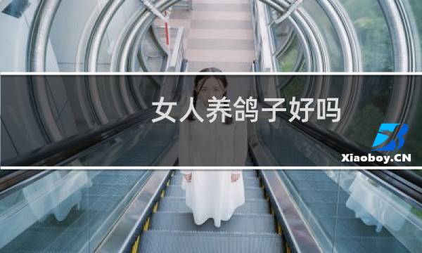女人养鸽子好吗