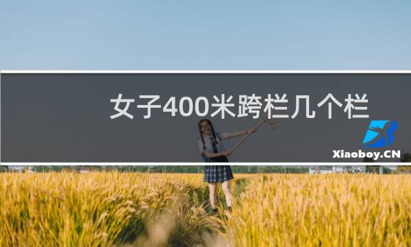 女子400米跨栏几个栏
