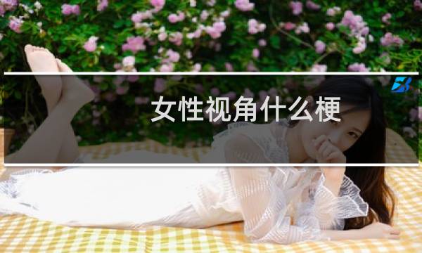 女性视角什么梗