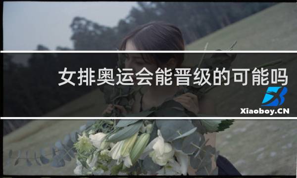 女排奥运会能晋级的可能吗