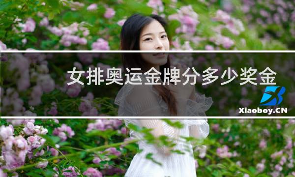 女排奥运金牌分多少奖金