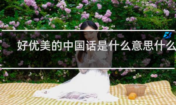 好优美的中国话是什么意思什么梗