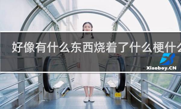 好像有什么东西烧着了什么梗什么梗