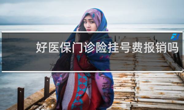 好医保门诊险挂号费报销吗图片