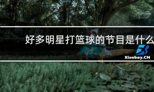 好多明星打篮球的节目是什么