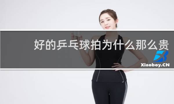 好的乒乓球拍为什么那么贵