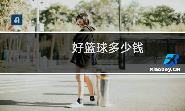 好篮球多少钱