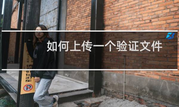 如何上传一个验证文件到网站的根目录呢？