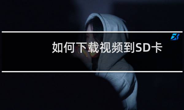 如何下载视频到SD卡
