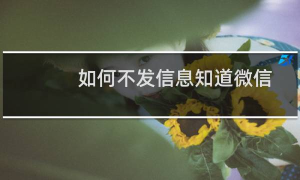 如何不发信息知道微信好友是否删了自己