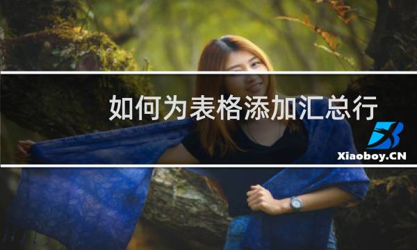 如何为表格添加汇总行（表格下面的汇总怎么添加）