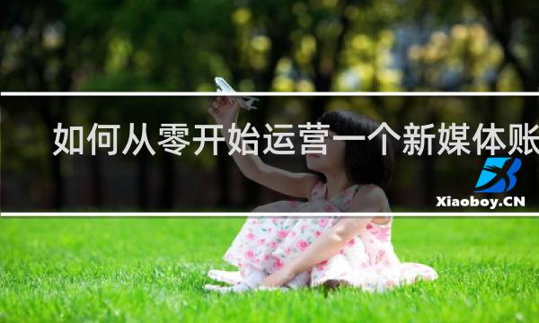 如何从零开始运营一个新媒体账号