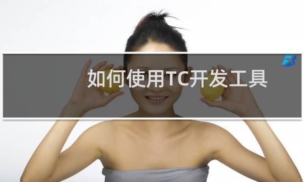 如何使用TC开发工具制作简单程序