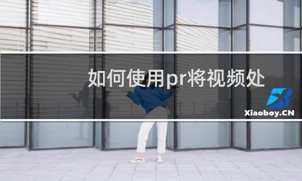 如何使用pr将视频处理成黑白效果