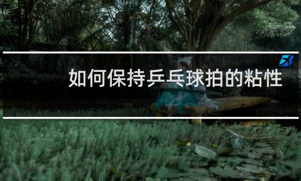 如何保持乒乓球拍的粘性