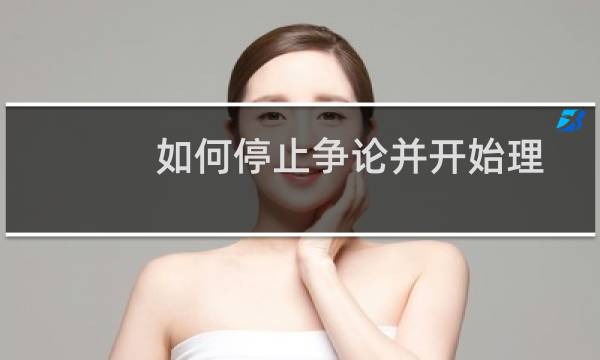 如何停止争论并开始理解图片