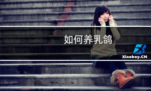 如何养乳鸽
